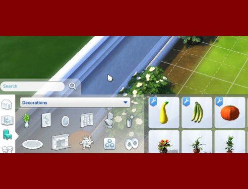 Harvestable Pumpkin Plant
