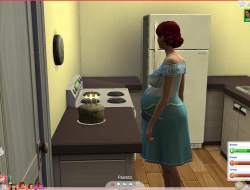 Pregnant Aging & Death