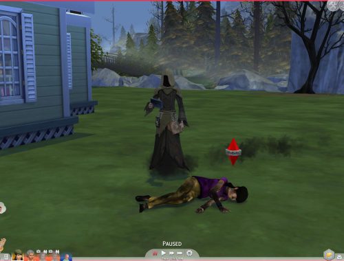 Pregnant Aging & Death