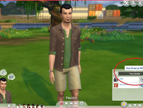 Realistic Aging