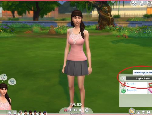 Realistic Aging