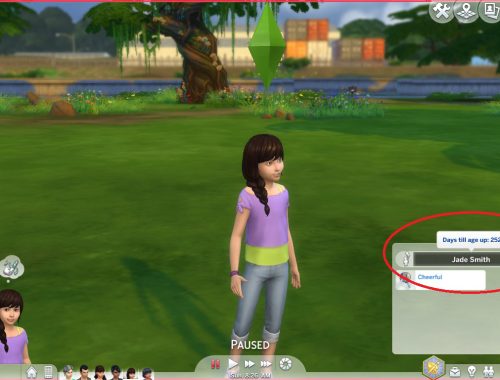 Realistic Aging