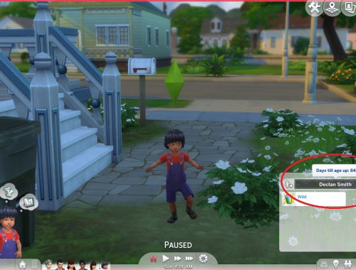 Realistic Aging