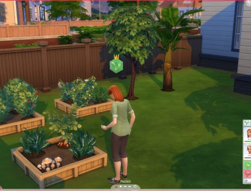 No Gardening Club Harvesting