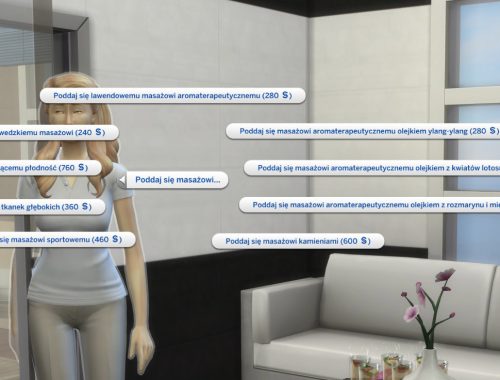HGS - More Expensive SPA Massage