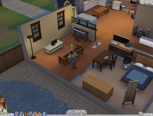 Control Any Sim