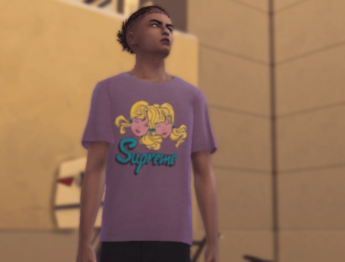 Iconic Supreme Tees