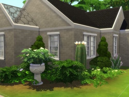 A Family of 8 Starter Home by MarVlachou