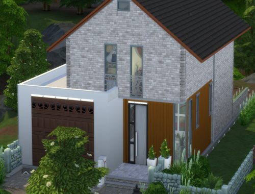 A modern house in the suburbs