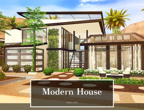 Modern House