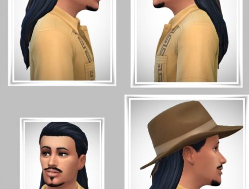JohnnyW?s Ponytail hair