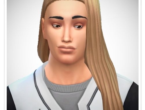 Long OverShoulder Hair at Birksches Sims Blog