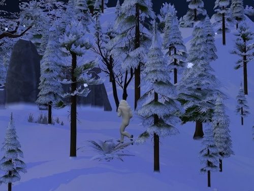 Mystery of Bigfoot at Frau Engel