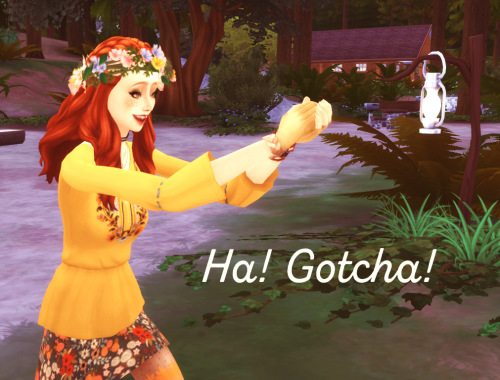 Catch those pesky bugs! - No Failure to Collect Insects