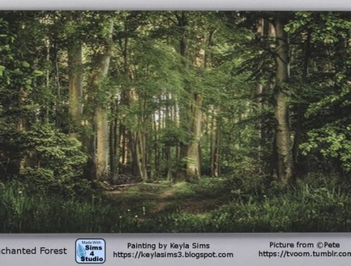 Paintings Pete – Tvoom at Keyla Sims