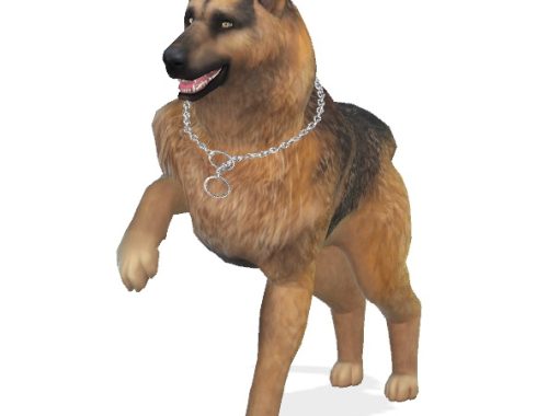 Bruce the German Shepherd dog at Enchanting Essence