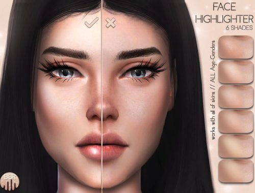 Face Highlighter BH05
