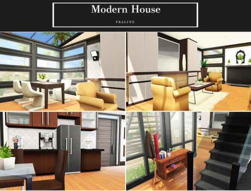 Modern House