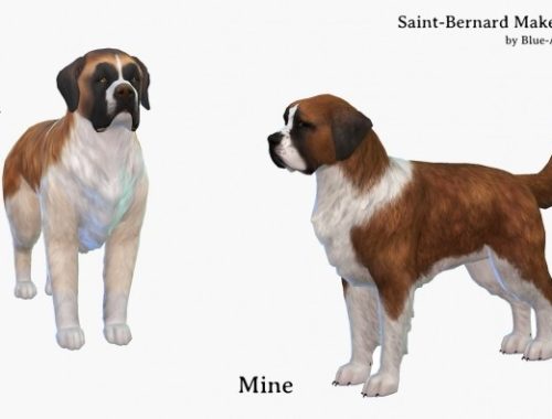 Saint-Bernard dog makeover at Blue Ancolia