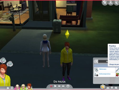 Simmersarah custom traits updated for Cat and Dogs