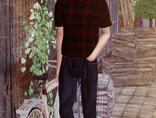 Short sleeves shirt at Rona Sims