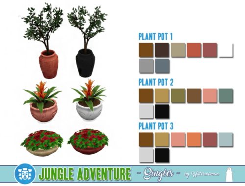 Jungle Adventure Singles