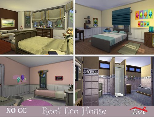 Roof Eco house