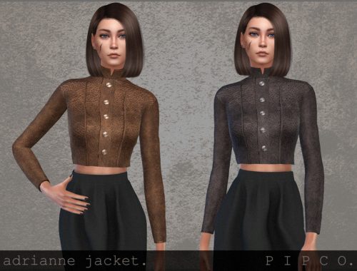 adrianne jacket.