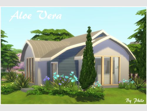 Aloe Vera (Starter No CC)