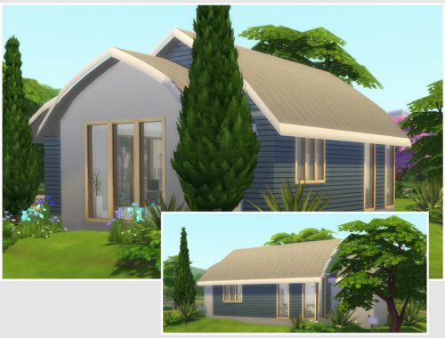 Aloe Vera (Starter No CC)