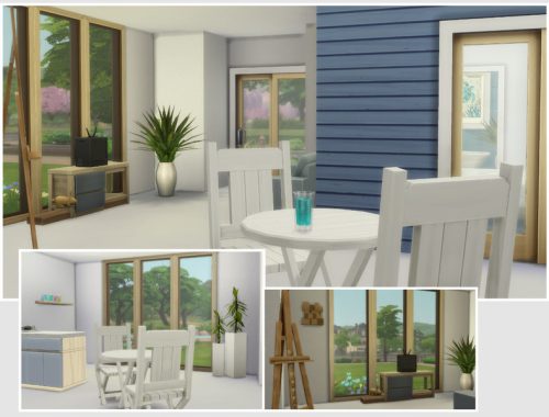 Aloe Vera (Starter No CC)