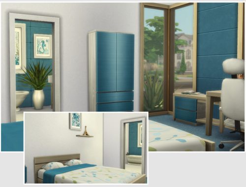 Aloe Vera (Starter No CC)