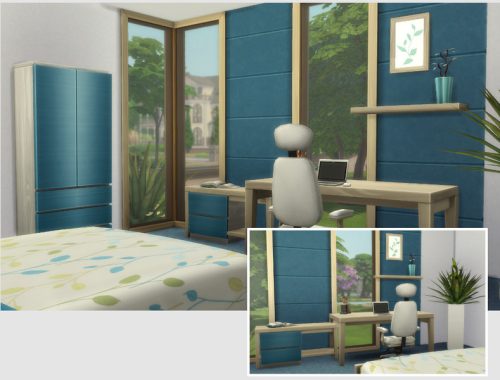 Aloe Vera (Starter No CC)