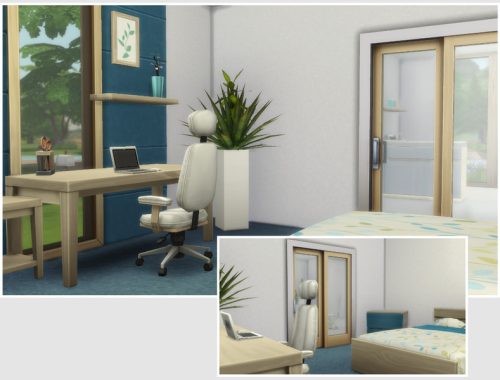 Aloe Vera (Starter No CC)