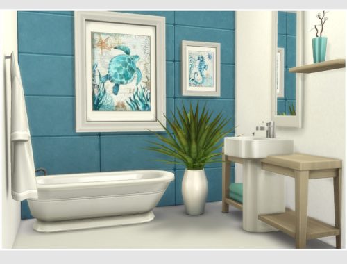 Aloe Vera (Starter No CC)