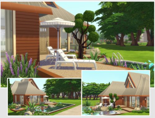 Aloha (Base Game No CC)