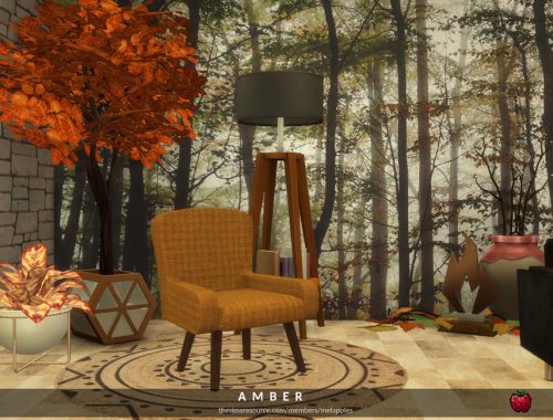 Amber - living room