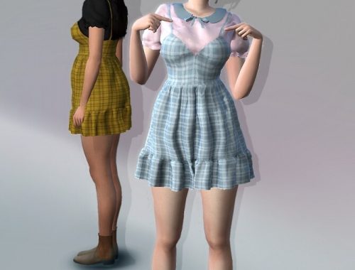 Angelika Dress at EvellSims