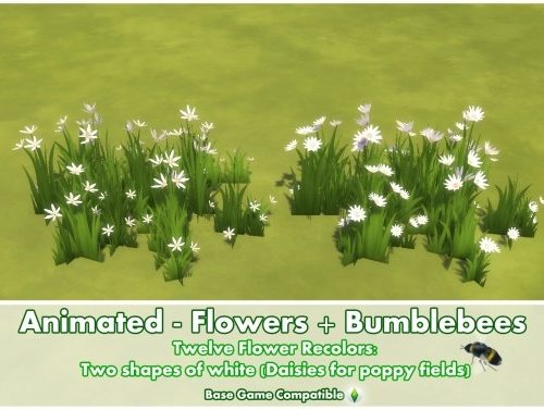Animated Flowers + Bumblebees