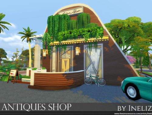 Antiques Shop