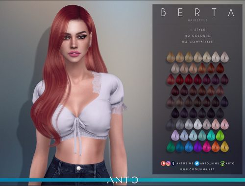 Anto - Berta (Hairstyle)