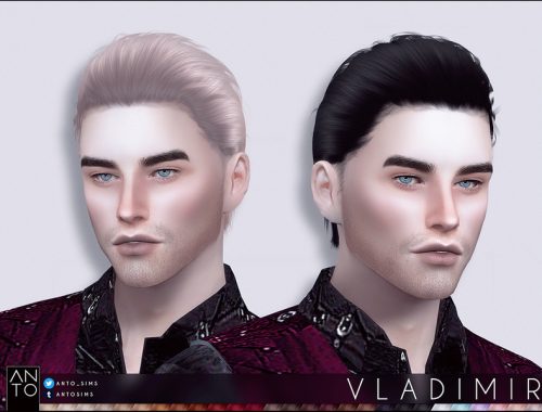 Anto - Vladimir (Hairstyle)