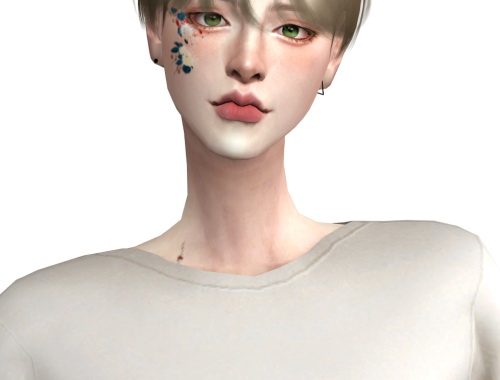 Aqua Hair at Lemon Sims 4