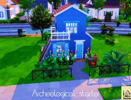 Archeology- starter