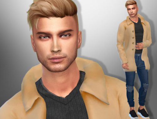 Arian Simon