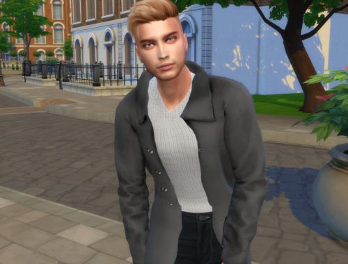 Arian Simon