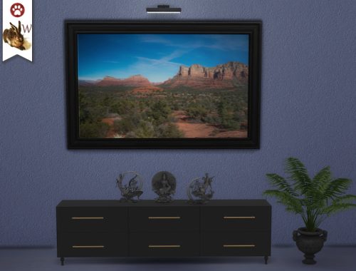 Arizona Views REQUIRES CATS AND DOGS