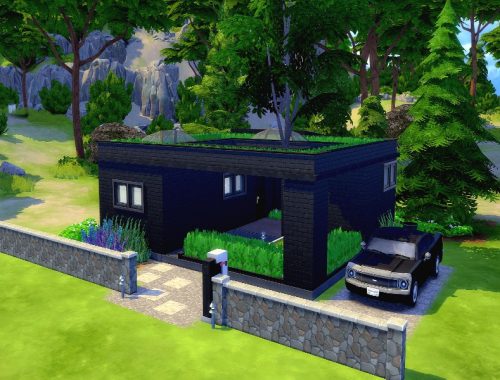 Atylla- Black eco Windenburg starter | No CC, base game+GT