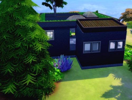 Atylla- Black eco Windenburg starter | No CC, base game+GT