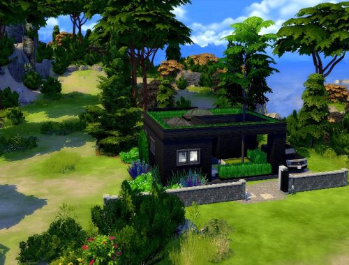 Atylla- Black eco Windenburg starter | No CC, base game+GT